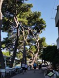IMG_20210615_171049