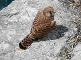 IMG_20210620_135128