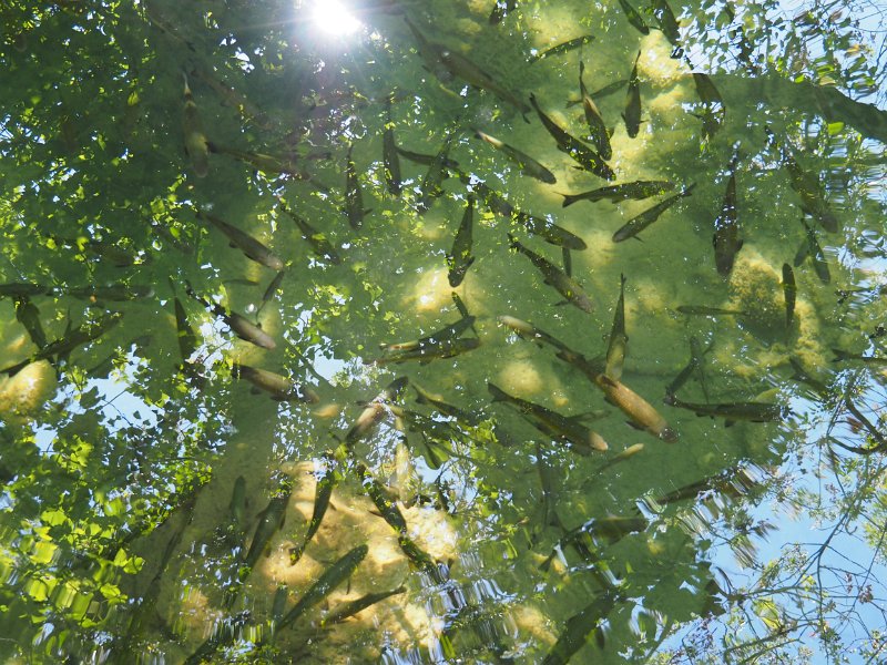 P9060069