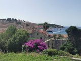 IMG_20220627_103146