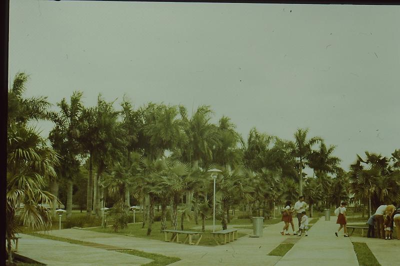 Original image