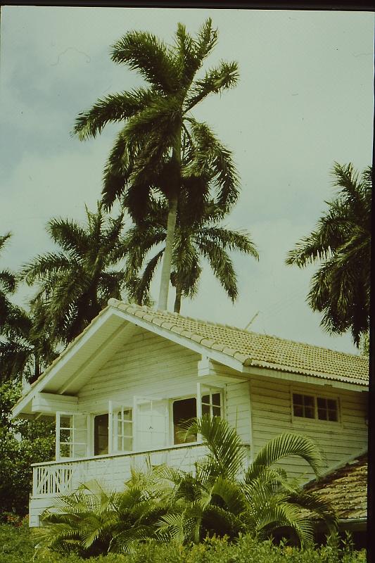 Original image