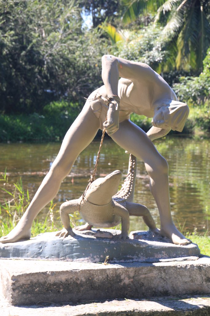 Original image