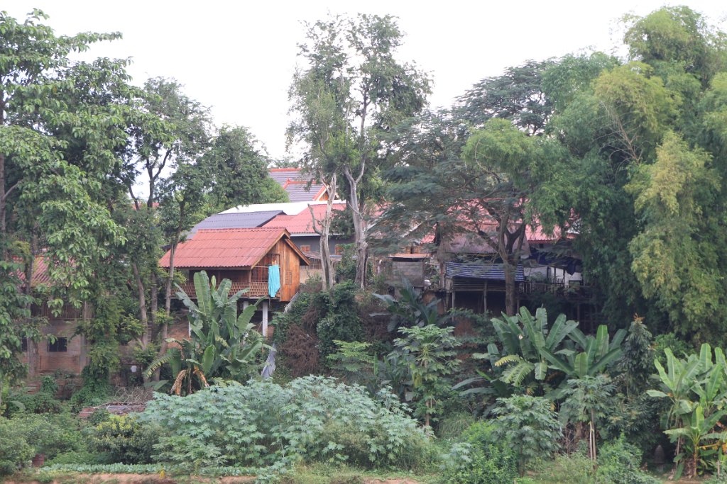 Original image