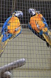IMG_2013