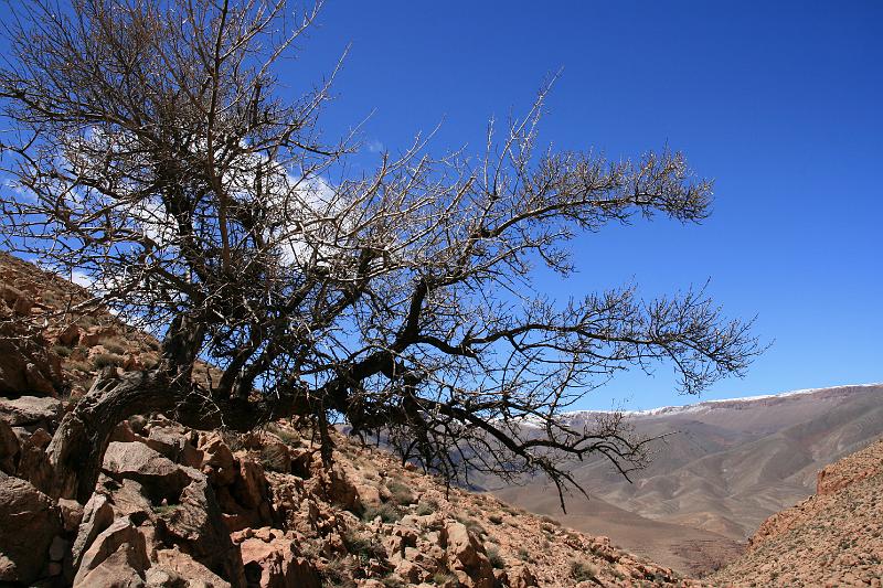 Original image