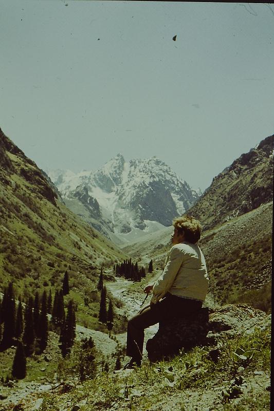 Original image