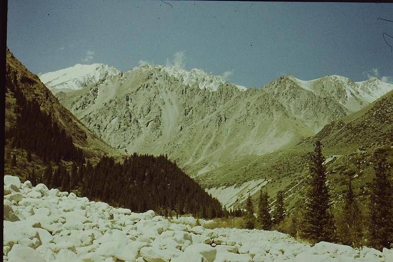 Original image