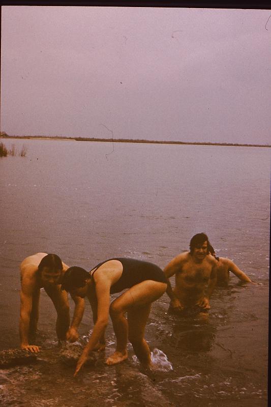 Original image