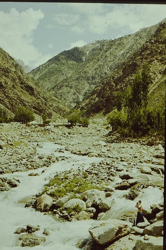 Original image