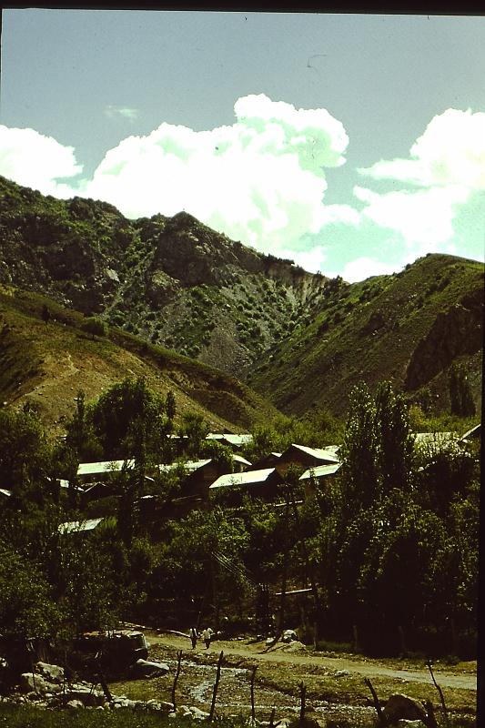 Original image