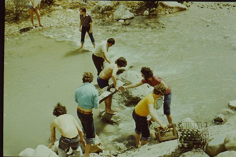 Original image