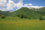 IMG_4744