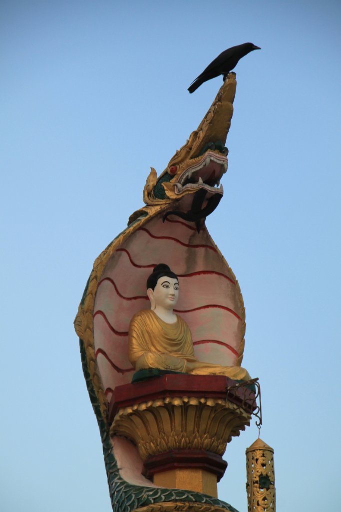 Original image