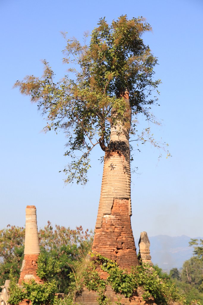 Original image