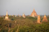 IMG_2250