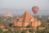 IMG_2442