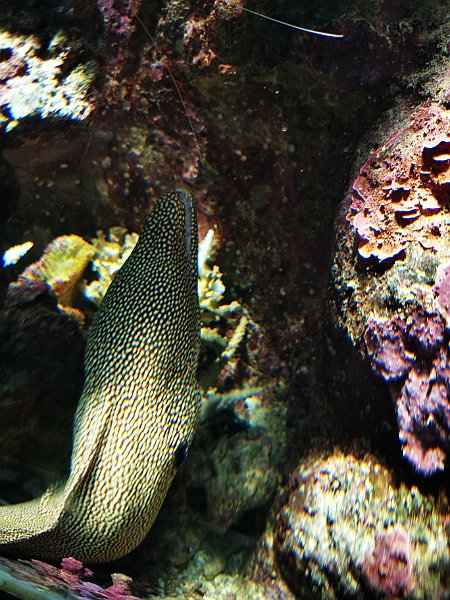 IMG_20200109_122151