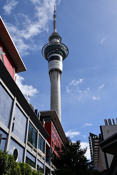 DSC_2947
