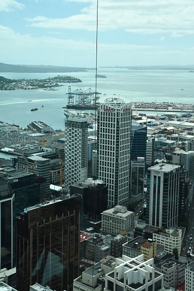 DSC_2958