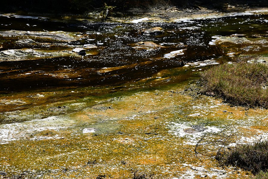 DSC_2986