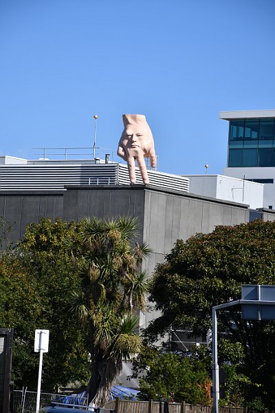 DSC_3509