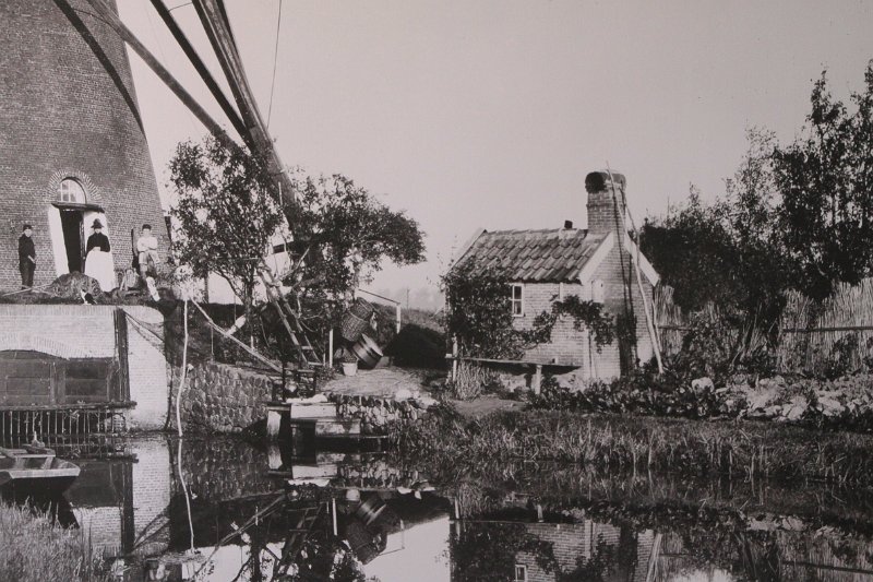 Original image