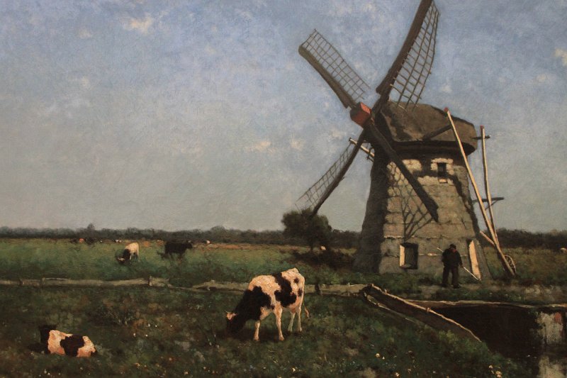 Original image