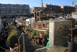 IMG_9442