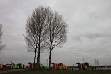 IMG_9446