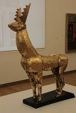 IMG_9563