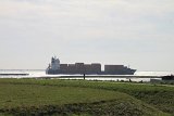 IMG_9580