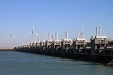 IMG_9598