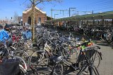 IMG_9608