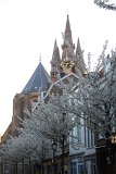 IMG_9660