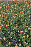 IMG_9673
