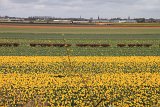 IMG_9681