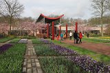 IMG_9686