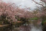 IMG_9688