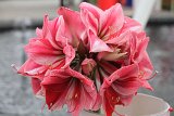 IMG_9704