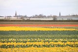IMG_9722