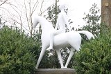 IMG_9750