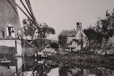 IMG_9784