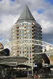 IMG_9936