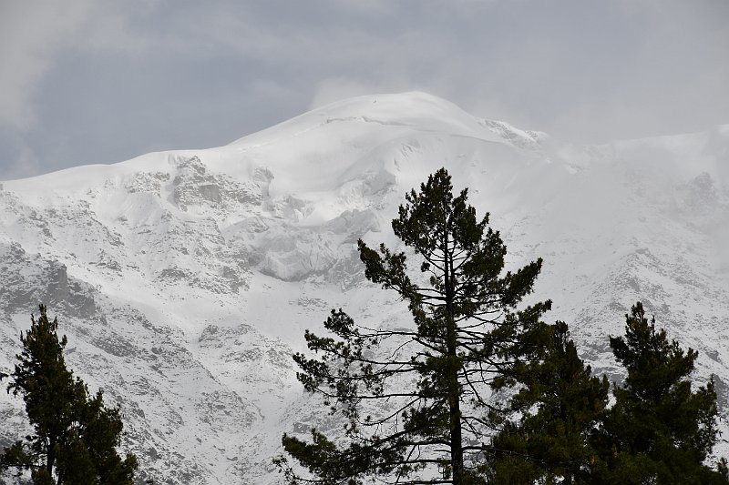 DSC_2263