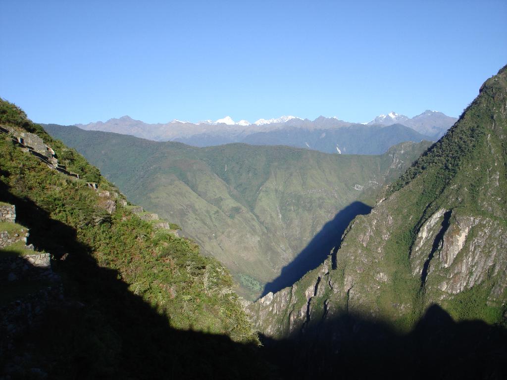 Original image