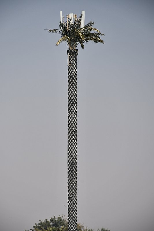 DSC_1540