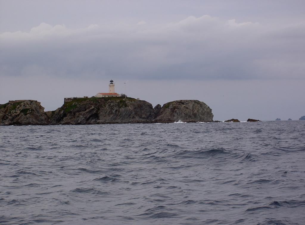 Original image