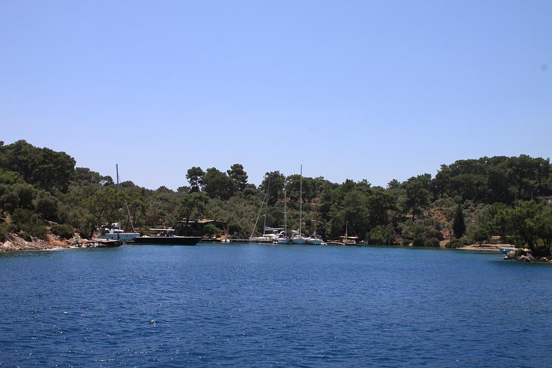 Original image