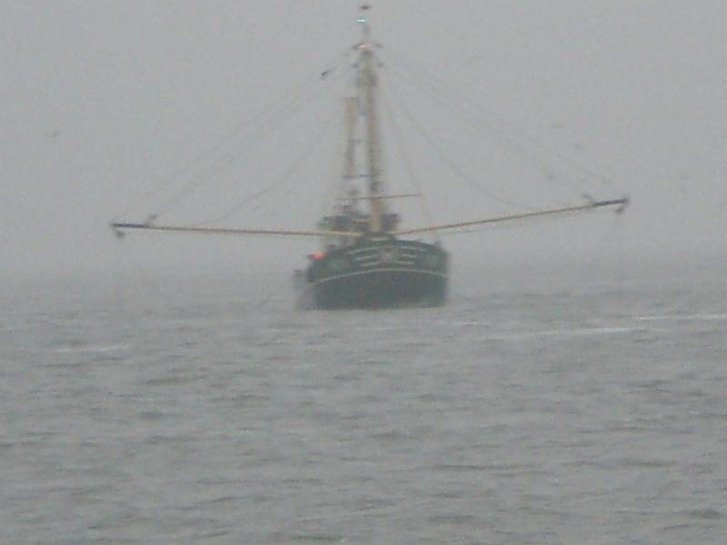 CIMG0877